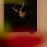 Les Chamois Hotel