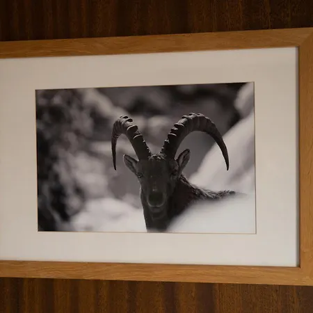 Les Chamois Hotel Verbier