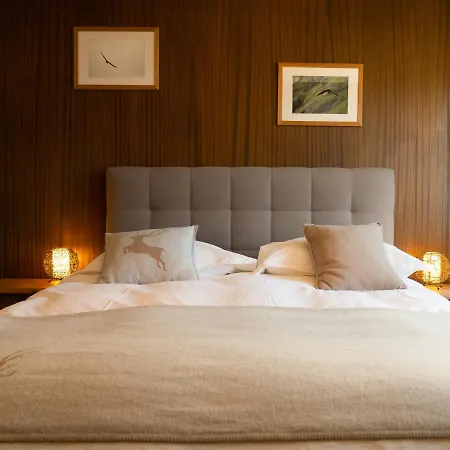 Les Chamois Hotel Verbier