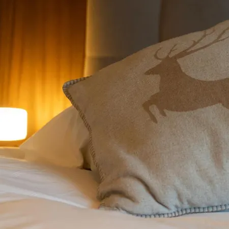 Les Chamois 3* Verbier