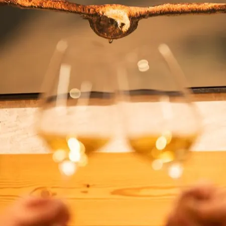 Les Chamois Hotel Verbier