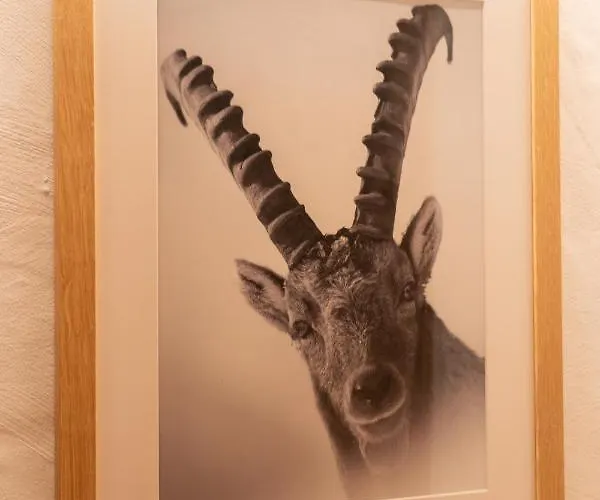 Hotel Les Chamois 3*