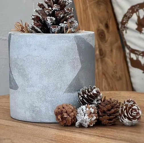 Les Chamois 3* Verbier