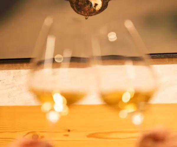 羚羊酒店 酒店 韦尔比耶